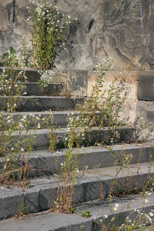 Schody do nebe - FOTOGRAFIE